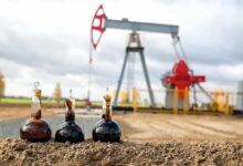 Photo of Применение технологий генетических алгоритмов в оптимизации добычи углеводородов