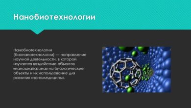 Photo of Использование нанотехнологий в процессе добычи природного газа